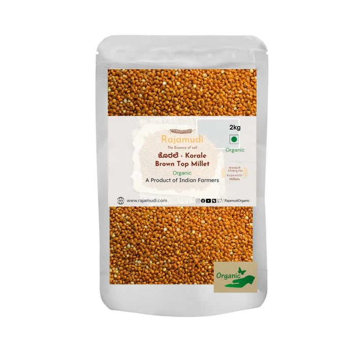 Organic Brown Top Millet ( KORALE ) - Rajamudi organic Millets | Rajamudi