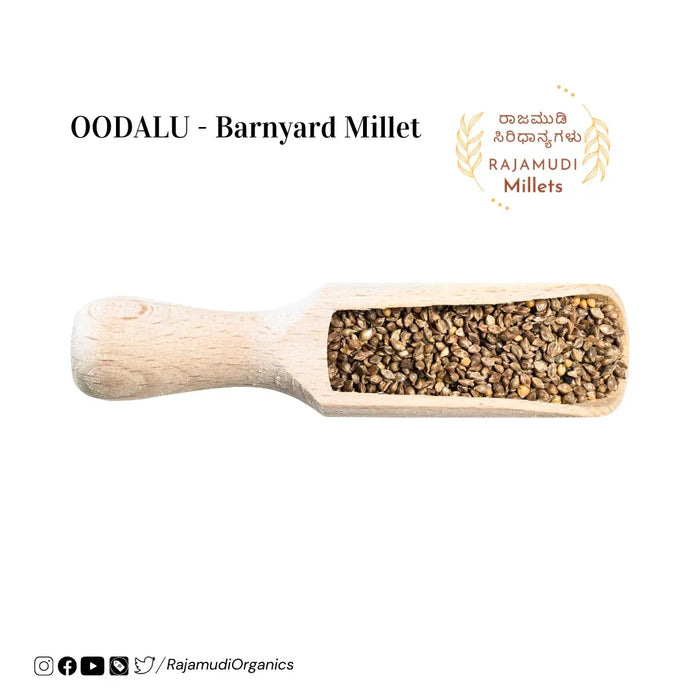 OODALU - Barnyard Millet | Rajamudi