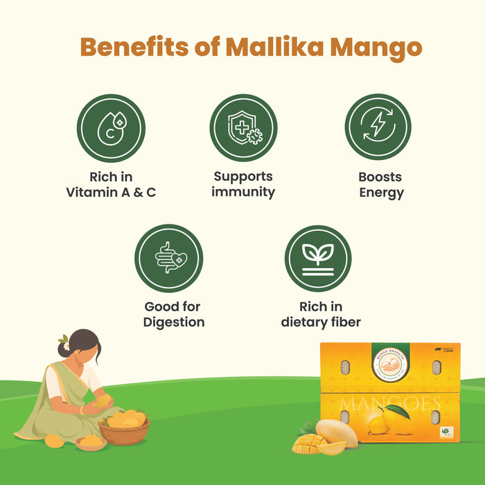 Rajamudi Organics — Organic Mallika Mangoes | Fibre-Free, Intensely Aromatic | Farm-Fresh Seasonal Delivery